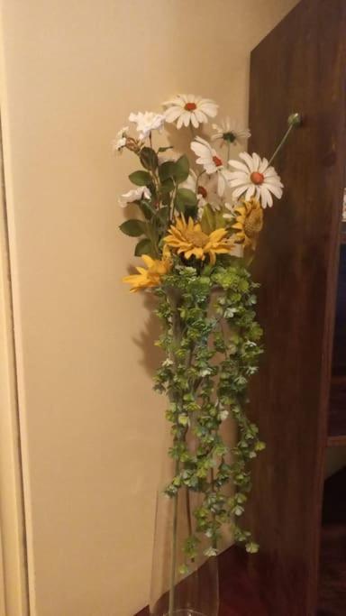 Daisy Apartment In Centro A 코모 외부 사진